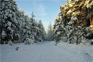 IGN盘点：2022年已有9款游戏内容宣布跳票